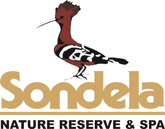 Sondela E-MTB / MTB Hybrid Event 2026
